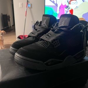 Used black cats comes with box